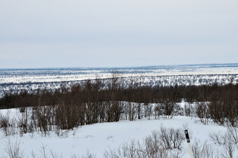 Norway, Sweeden, Finland, Scandinavia